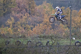 Saut