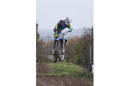 Saut