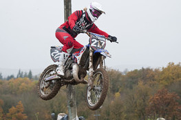 Saut