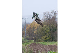 Saut