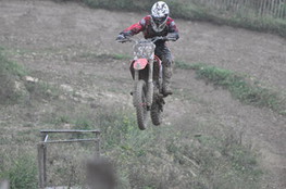 Saut