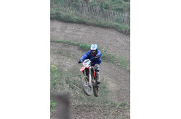 Saut
