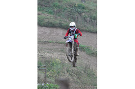 Saut