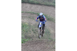 Saut