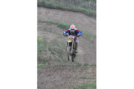 Saut