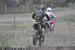 Saut
