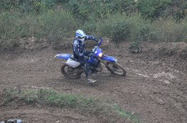 Virage Ludo