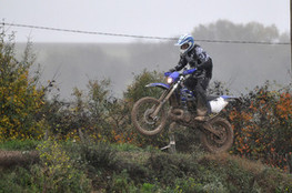Saut Ludo