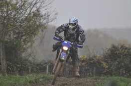 Saut Ludo