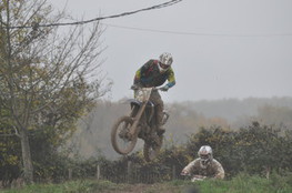 Saut