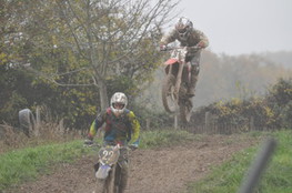 Saut