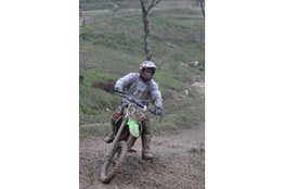 Virage