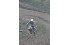 Saut