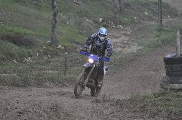 Virage Ludo