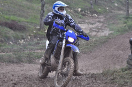 Virage Ludo