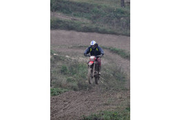 Saut