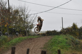 Saut