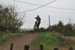 Saut