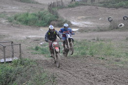 Saut