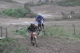 Saut
