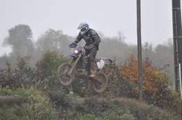 Saut Ludo