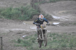 Saut