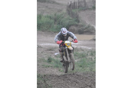 Saut