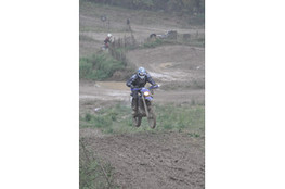 Saut Ludo