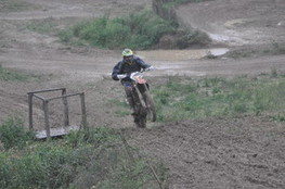 Saut