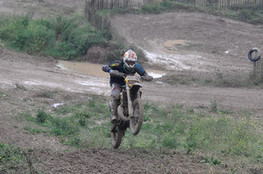 Saut