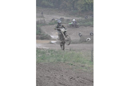 Saut