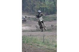 Saut
