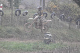 Saut