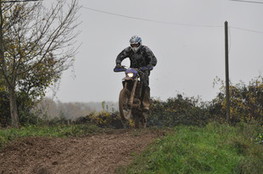 Saut Ludo