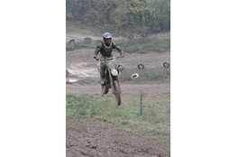 Saut