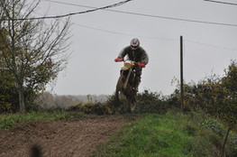 Saut