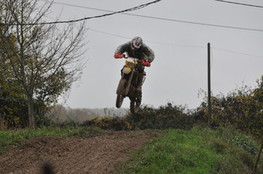 Saut