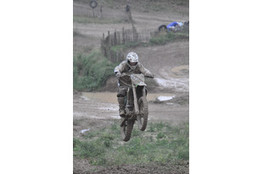 Saut