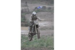 Saut