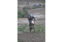 Saut Ludo