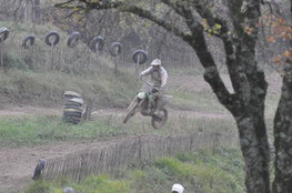 Saut