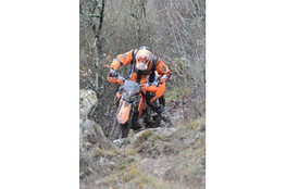 plant&eacute; &agrave; l'avant