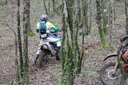 mont&eacute;e dans les bois