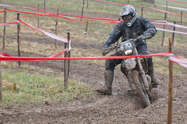 sp&eacute;ciale 1, n&deg;670 dans l'orni&egrave;re