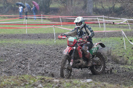 sp&eacute;ciale 2, n&deg;265 en crabe