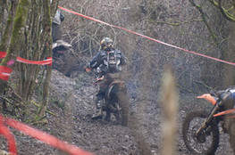 sp&eacute;ciale 2, dans les bois