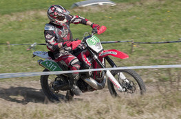 Sp&eacute;ciale T1 : 317