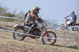 Sp&eacute;ciale T1 : 441