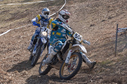 Sp&eacute;ciale T1 : 554 et 570