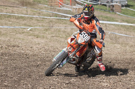 Sp&eacute;ciale T1 : 590